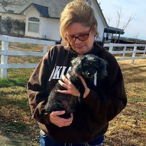 Meet your Posher, Sandi